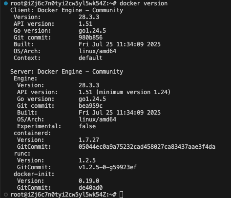 Docker Version Output